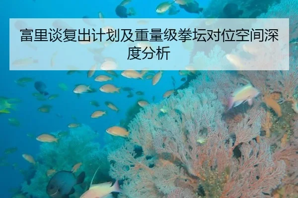 富里谈复出计划及重量级拳坛对位空间深度分析